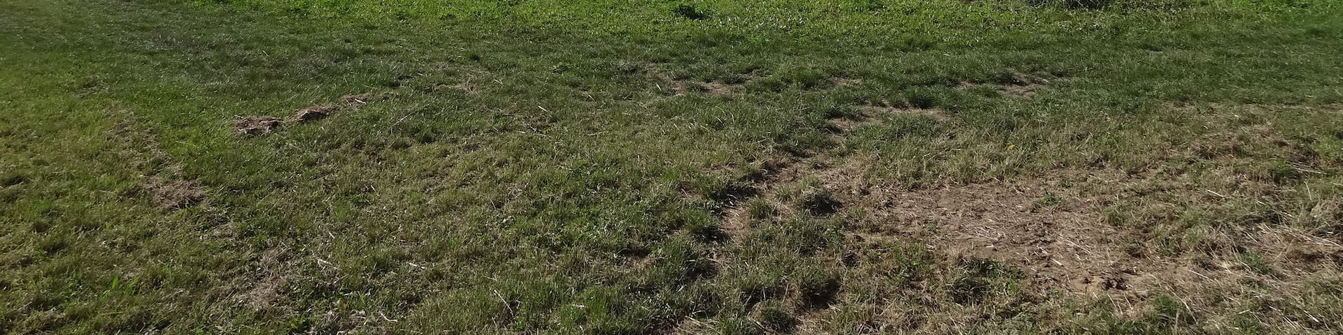 This is a picture of the hessian Kulturdenkmal (cultural monument) with the ID