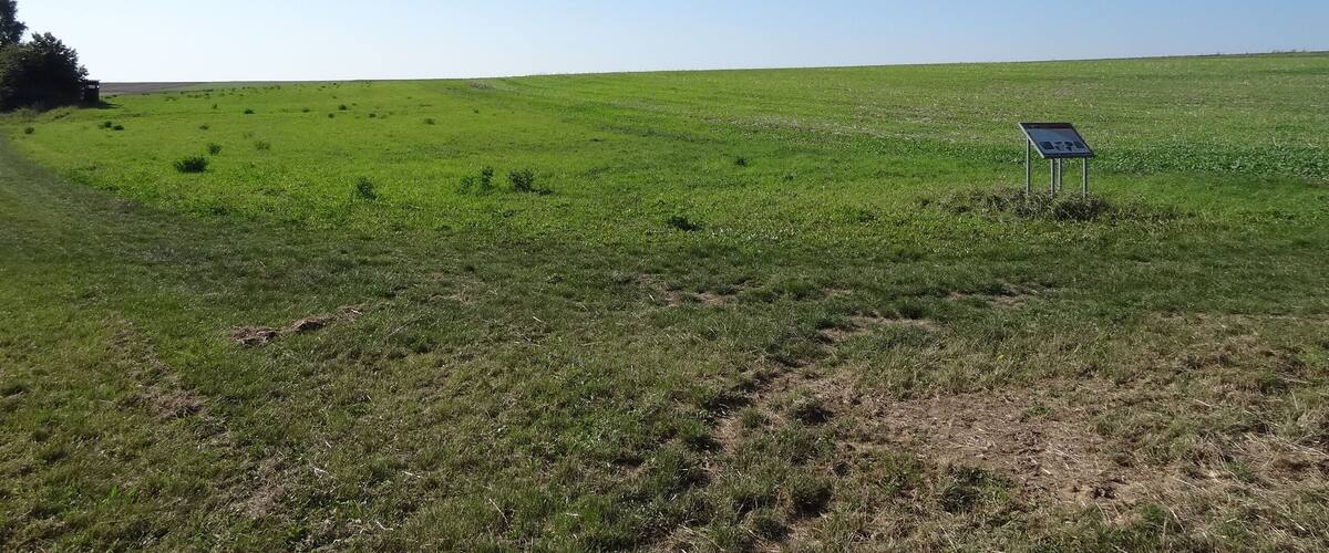 A vast green field with a small signpost in the distance.