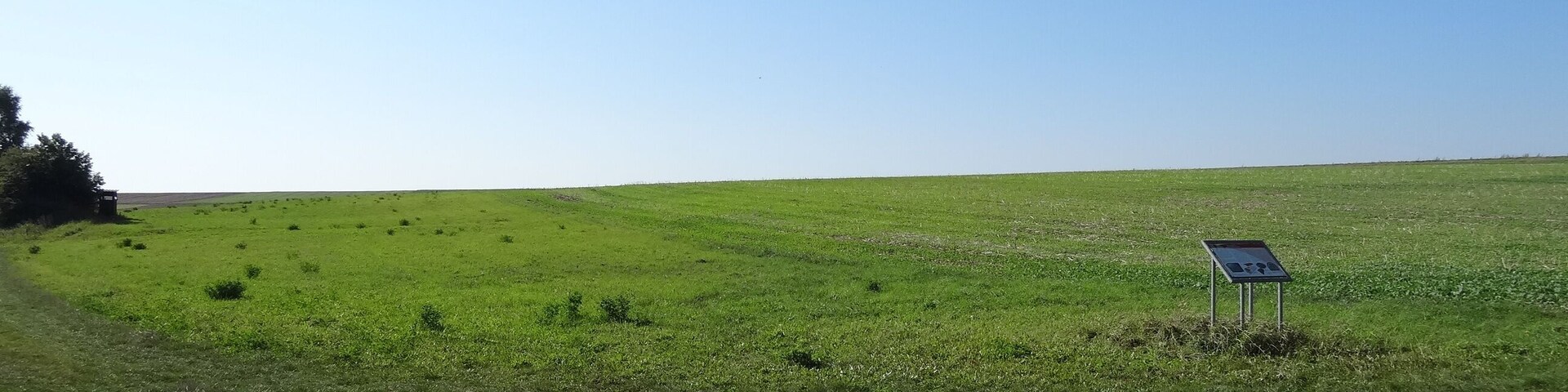 A vast green field with a small signpost in the distance.