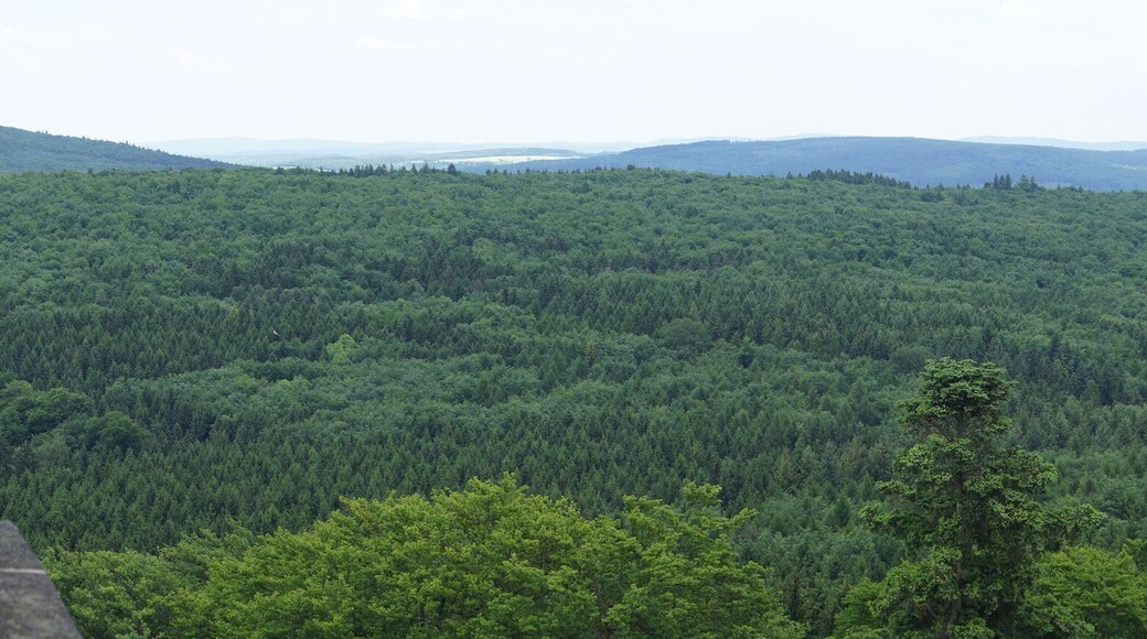 Blick vom Kellerskopf-Turm aus 495 m ü.NHN nach Nordost - Ost.