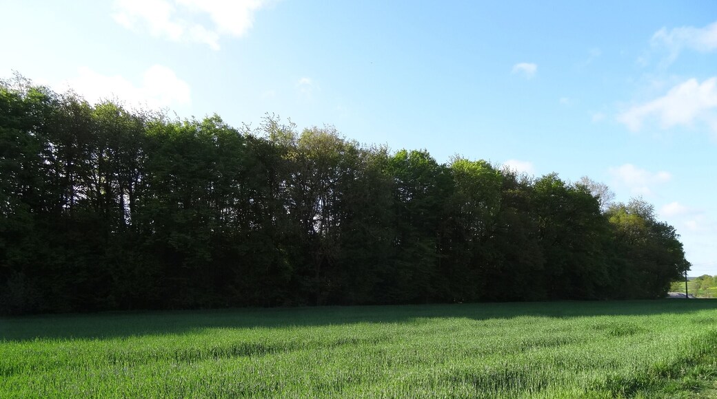 Naturschutzgebiet Wehrholz