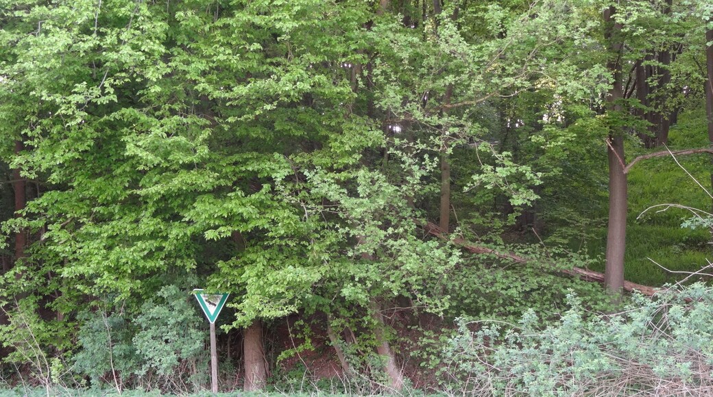 Naturschutzgebiet Wehrholz