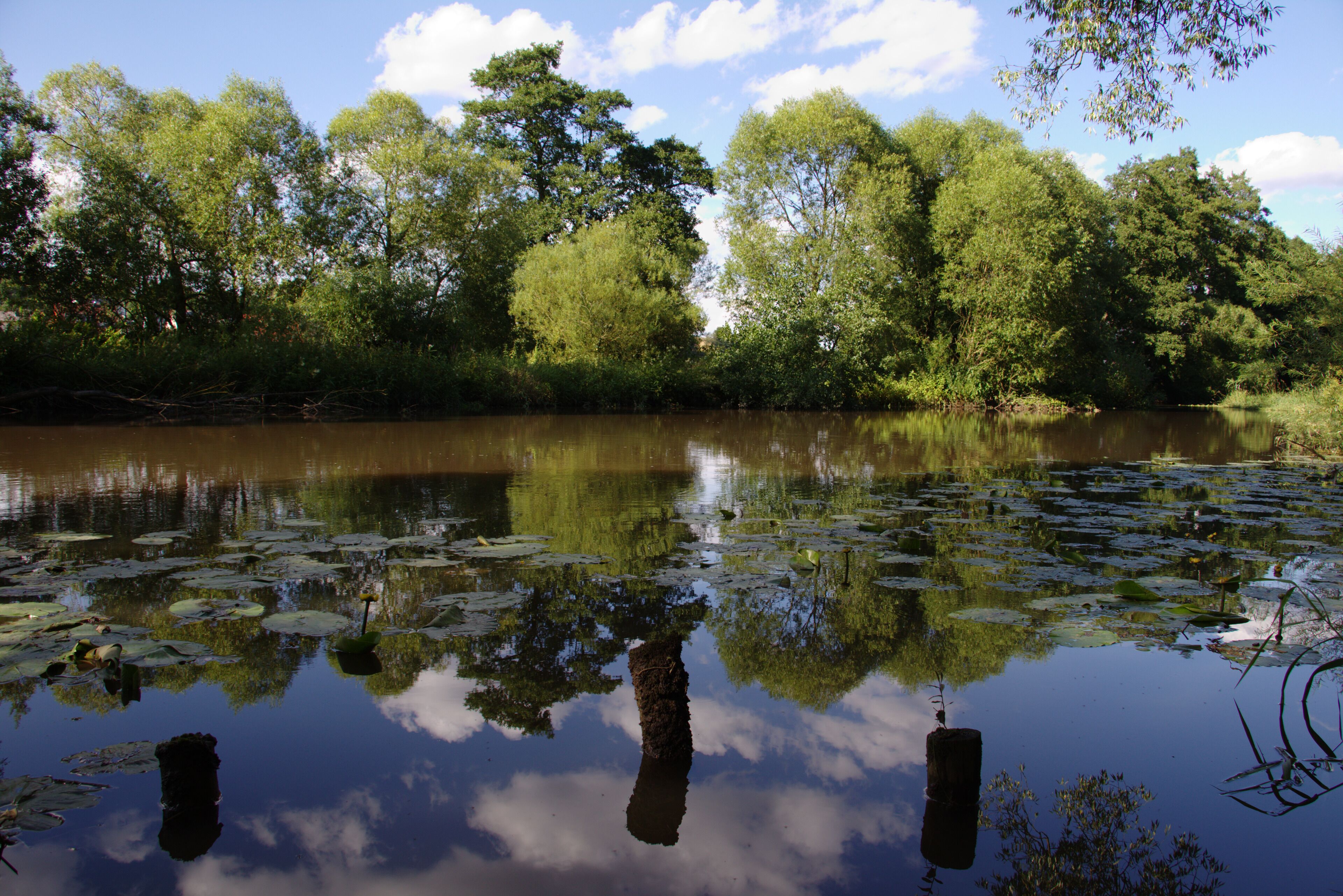 This is a picture of the protected area listed at WDPA under the ID