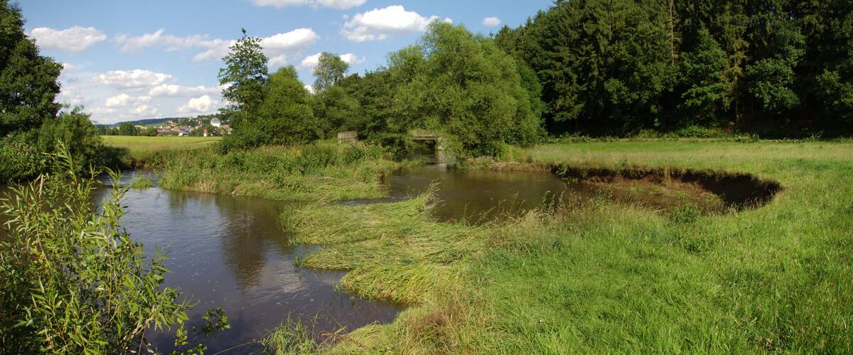 A river meandering through a lush green landscape with trees and a small bridge.