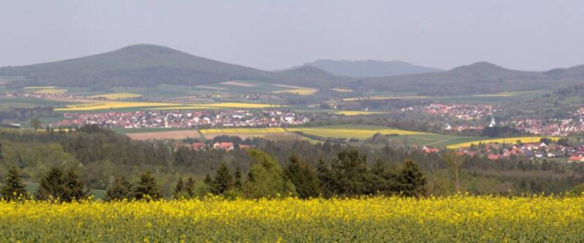 A rural landscape with fields of yellow flowers, green fields, and a town in the valley.