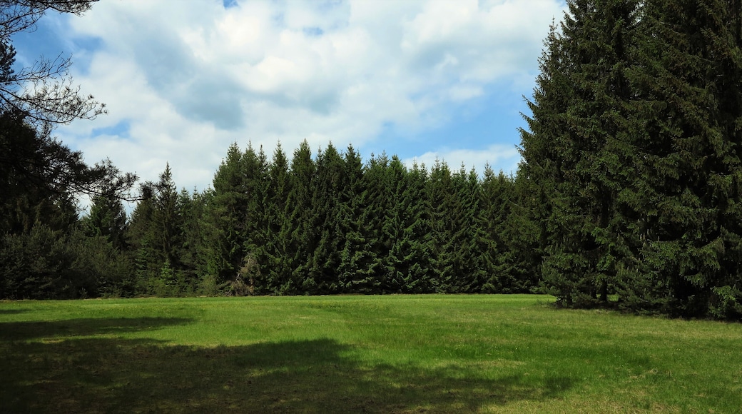 Heuwiese im Naturschutzgebiet "Franzosenwiesen"