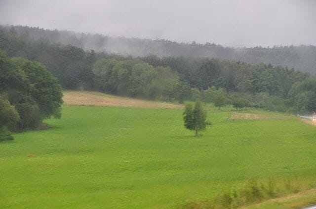 Odenwald : Grassy Countryside