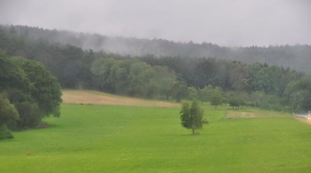 Odenwald : Grassy Countryside