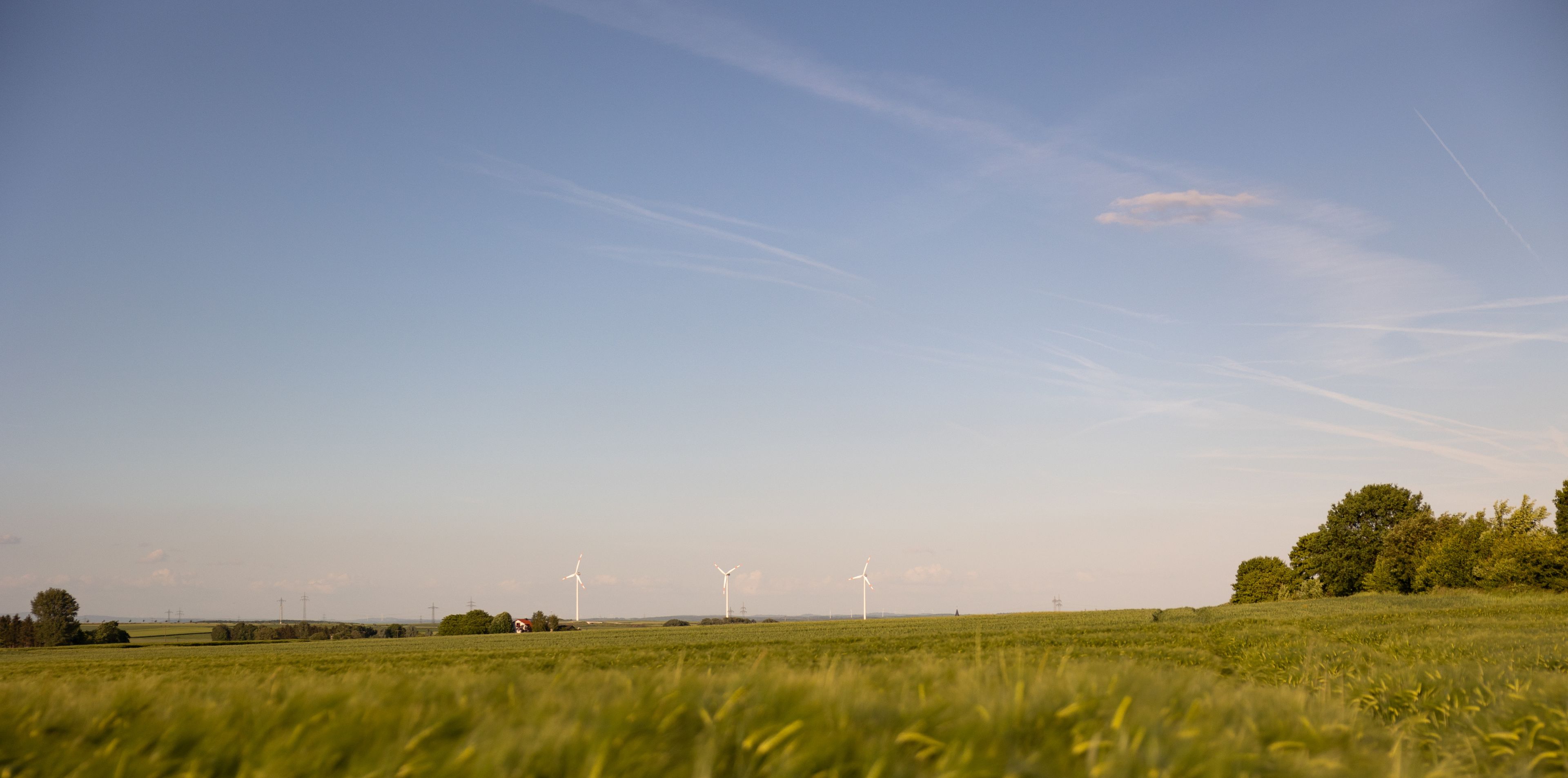 Un campo con aerogeneradores a lo lejos bajo un cielo despejado.