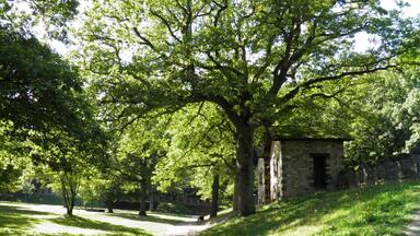 Saalburg Roman Fort, Limes Germanicus, Germania (Germany)