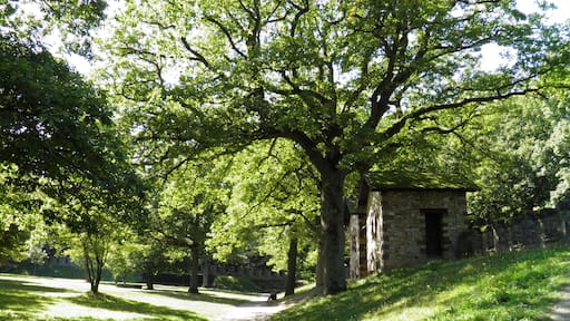 Saalburg Roman Fort, Limes Germanicus, Germania (Germany)