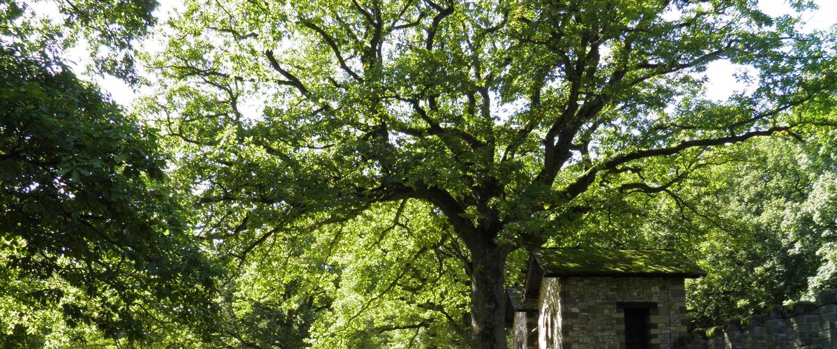 A stone building surrounded by lush green trees and a dirt path.