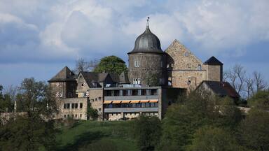 A historic stone castle with a prominent tower, surrounded by trees and a clear sky.