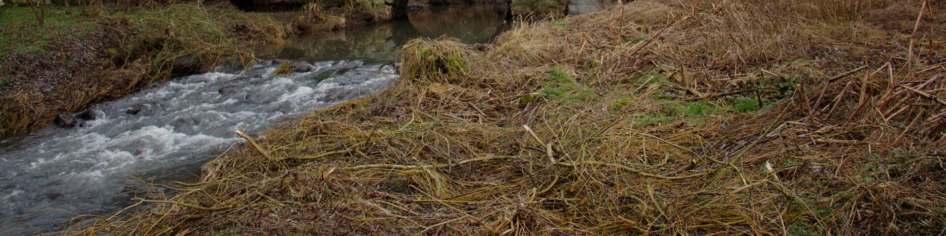 Stone arch bridge near Hohlmühle in Schellnhausen, Feldatal, Hesse, Germany