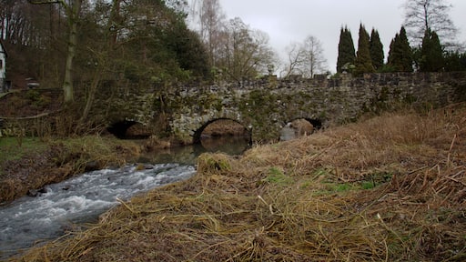Stone arch bridge near Hohlmühle in Schellnhausen, Feldatal, Hesse, Germany