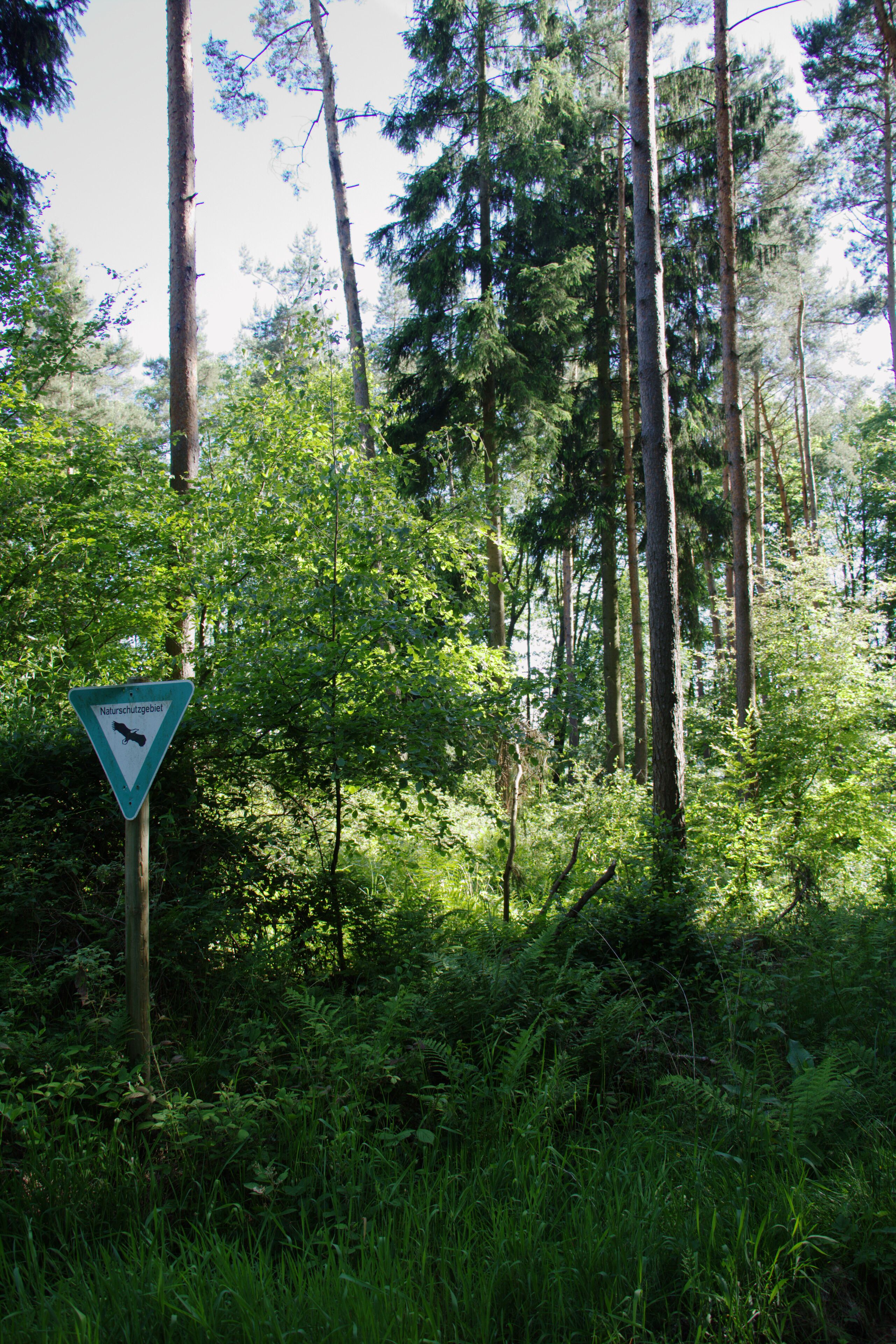 "Feldatal" Nature Reserve near Schellnhausen, Feldatal, Hesse, Germany