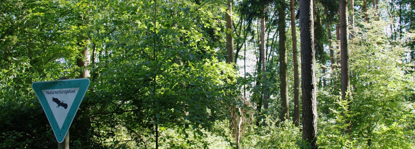 "Feldatal" Nature Reserve near Schellnhausen, Feldatal, Hesse, Germany