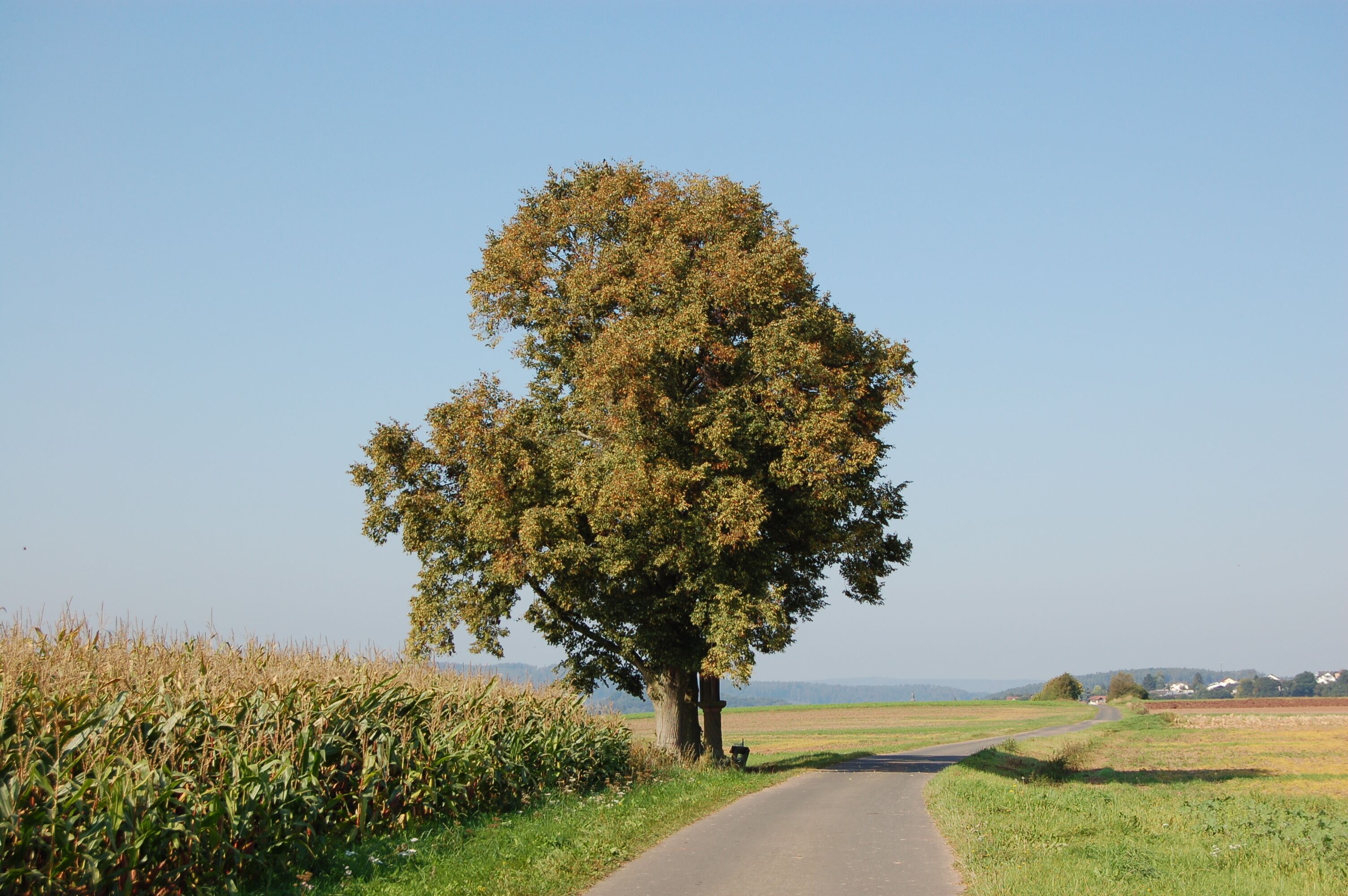 This image was uploaded as part of Wiki Loves Monuments 2011.