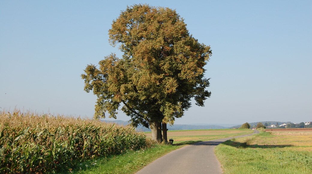 This image was uploaded as part of Wiki Loves Monuments 2011.