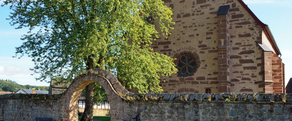 A church with a stone facade, a large tree, and a stone wall with a bench and flowers.