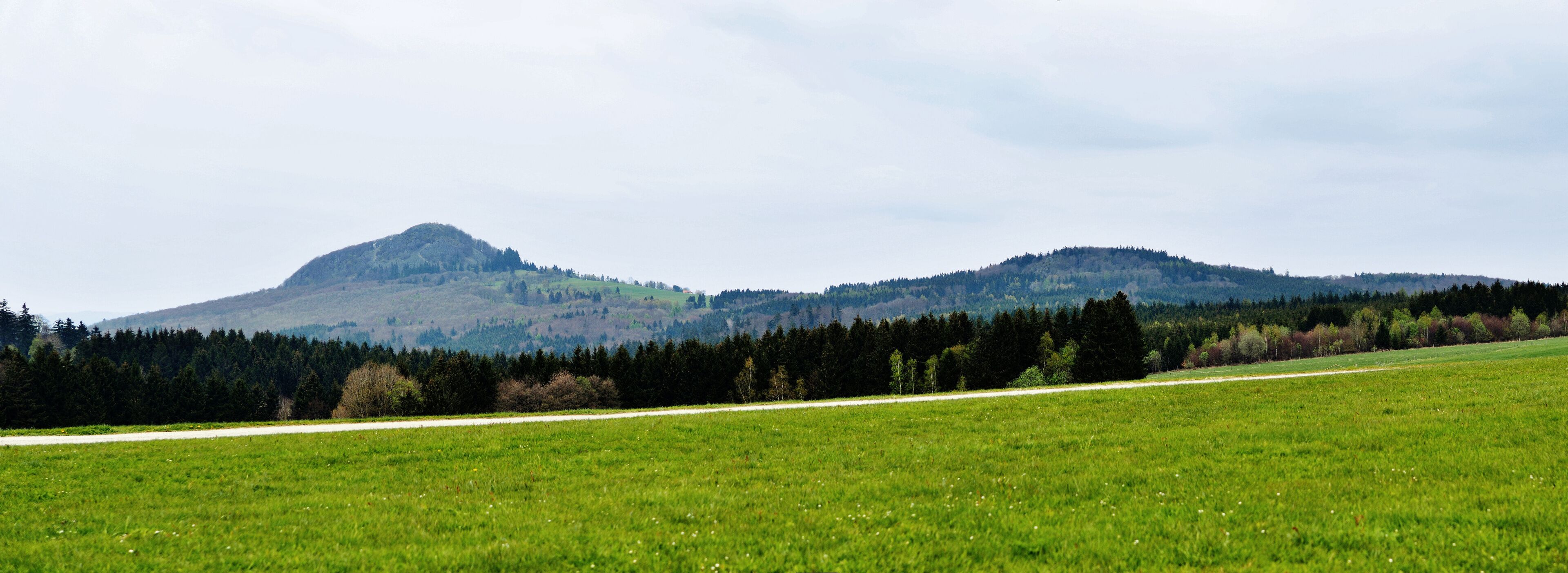 A grassy field with a road leading to a hill with a forested peak.