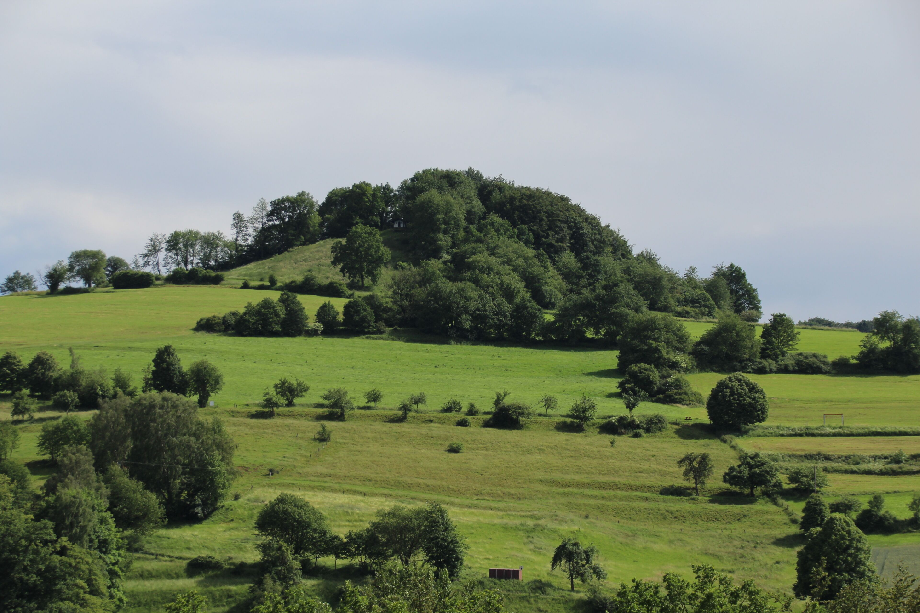 Blick vom Südhang des Stein bei Poppenhausen südwärts zum Kühküppel