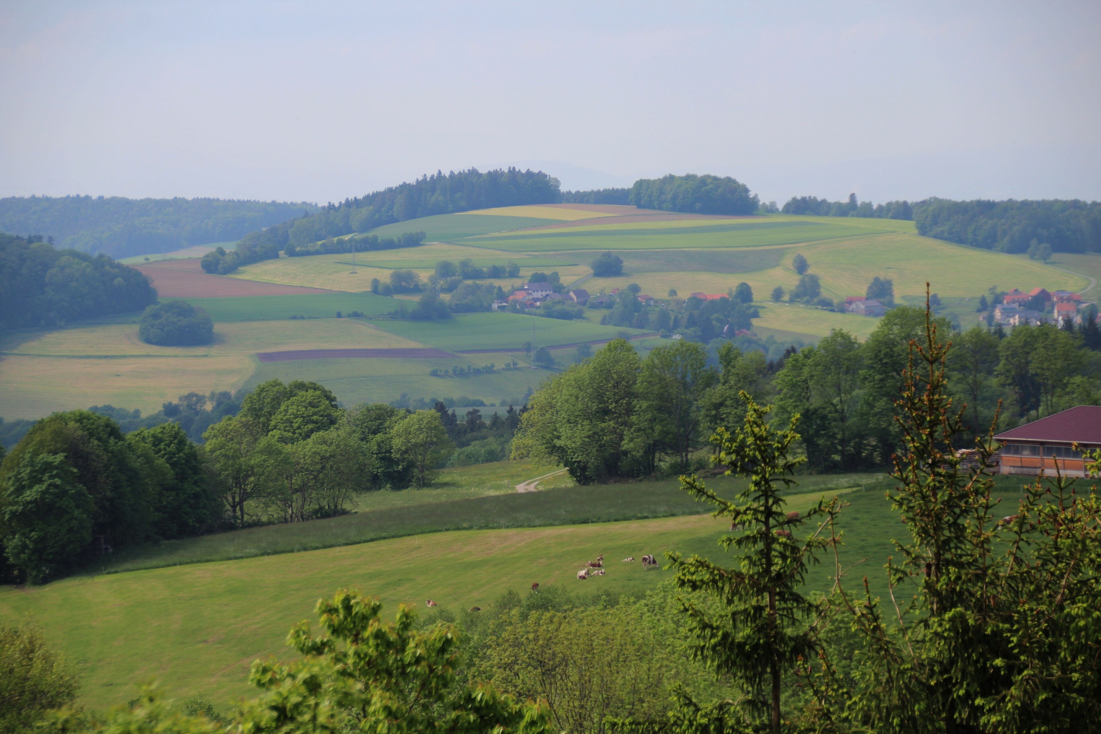 Wahrscheinlich unbenannte Erhebung bei Poppenhausen (Rhön), Blick vom Gebiet zwischen Guckaisee und Schwarzerden etwa westnordwestwärts