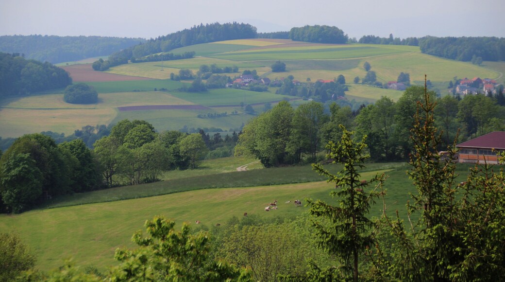 Wahrscheinlich unbenannte Erhebung bei Poppenhausen (Rhön), Blick vom Gebiet zwischen Guckaisee und Schwarzerden etwa westnordwestwärts