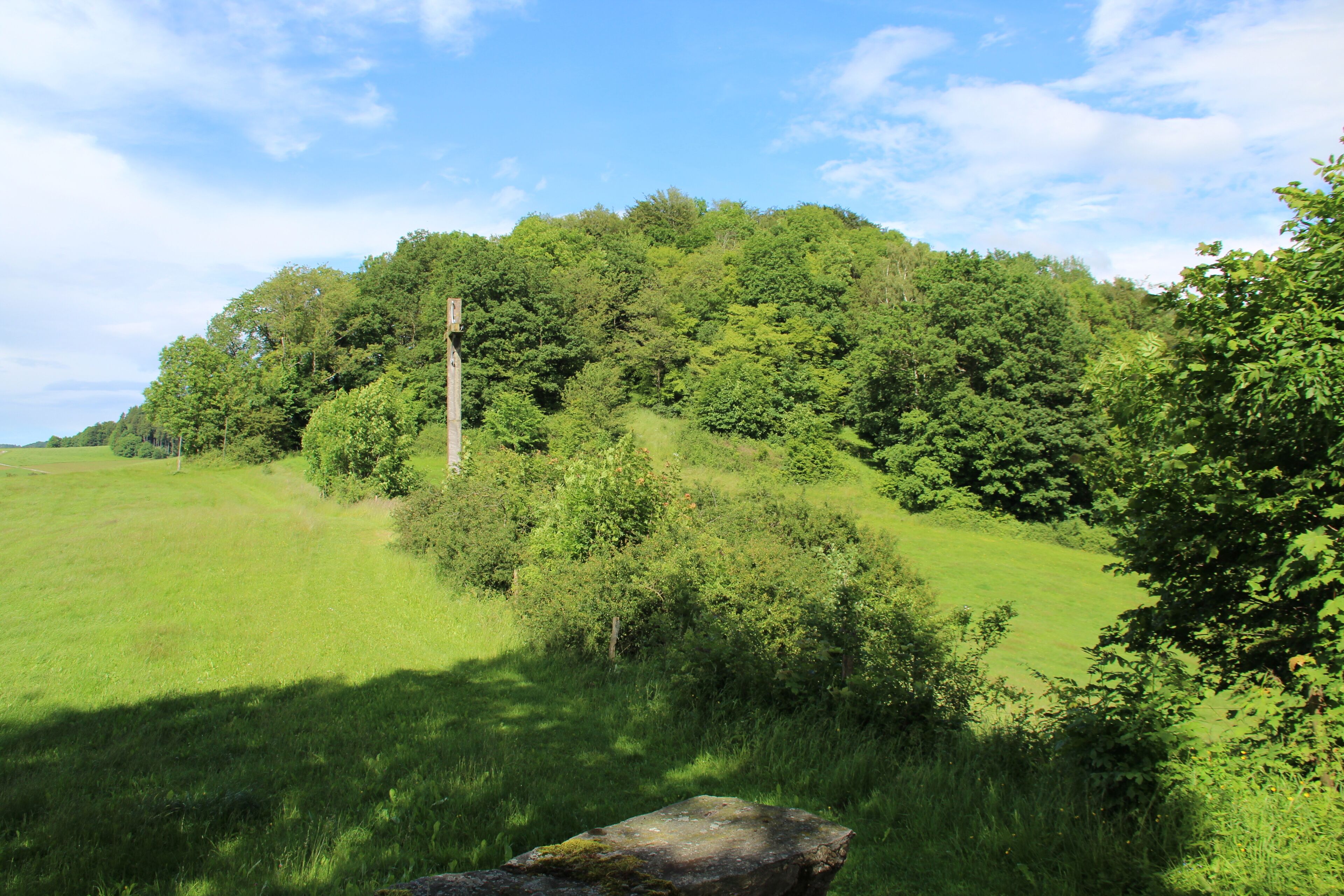 Auf dem Berg namens "Stein" bei Poppenhausen. Blick vom Bereich knapp nördlich der Steinkapelle etwa nordostwärts zum eigentlichen Gipfel