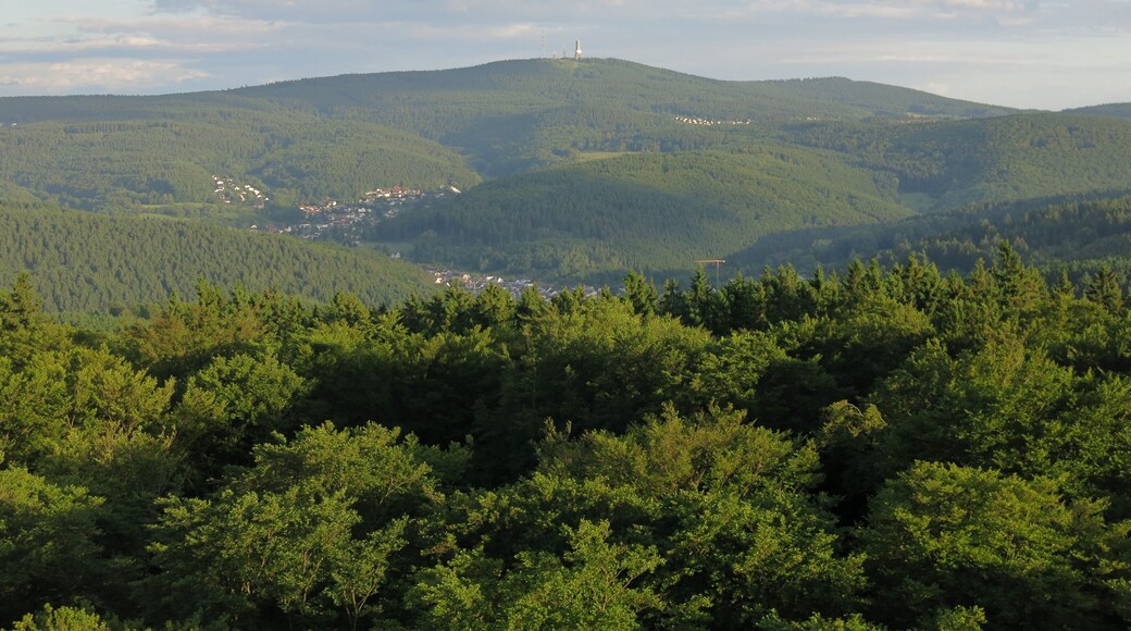 Große Feldberg in the Taunus mountains, seen from north (lookout tower on Pferdskopf)