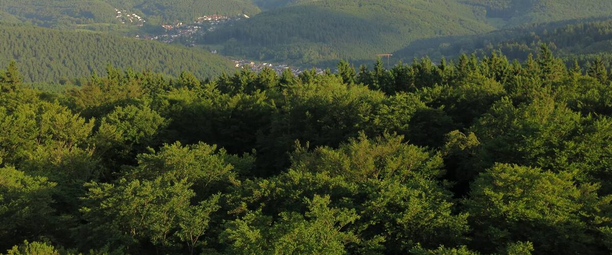 Große Feldberg in the Taunus mountains, seen from north (lookout tower on Pferdskopf)