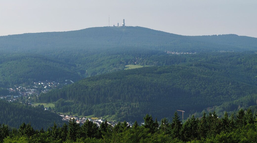 View from Pferdskopf lookout tower to the South, centered by the Great Feldberg