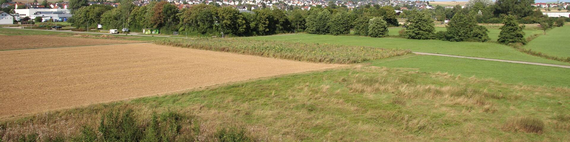 Siehe Foto, Dateiname, Kategorien u. ggf. Geo-Koordinaten