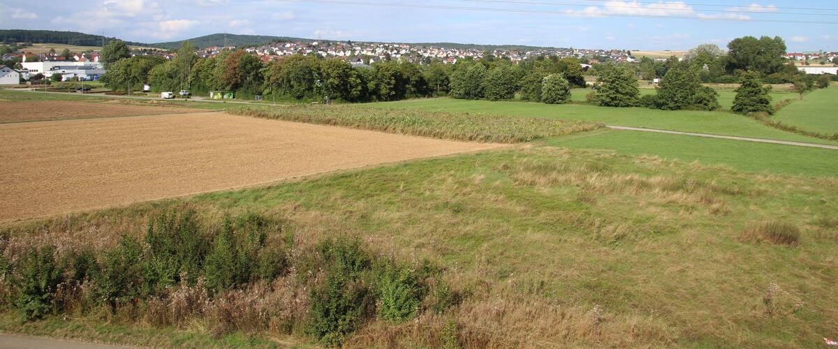 A rural landscape with fields, trees, and a distant village.