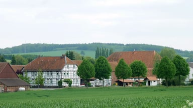 Fachwerk-Hof in Berwartshausen, Stadt Northeim, Südniedersachsen. Geschlossener Vierseithof aus der zweiten Hälfte des 19. Jahrhunderts, Scheune älter und aus Lutterhausen transloziert, Wohnhaus 1870 erbaut