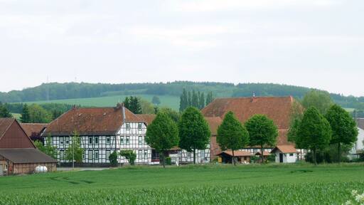Fachwerk-Hof in Berwartshausen, Stadt Northeim, Südniedersachsen. Geschlossener Vierseithof aus der zweiten Hälfte des 19. Jahrhunderts, Scheune älter und aus Lutterhausen transloziert, Wohnhaus 1870 erbaut