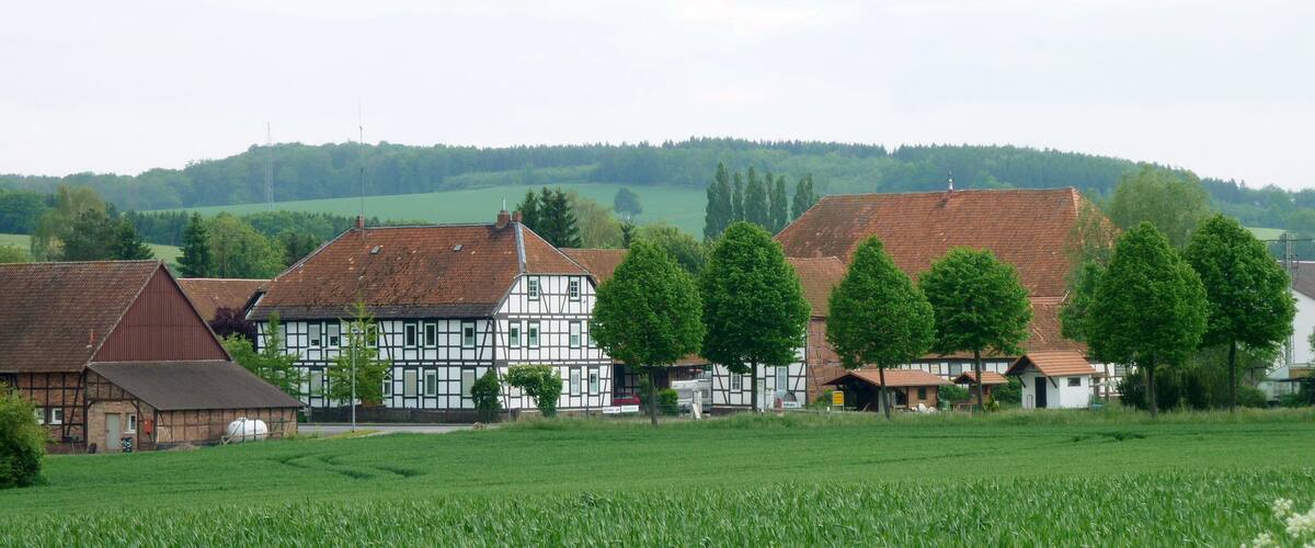 A rural village with traditional half-timbered houses, a green field, and a forested hill in the background.