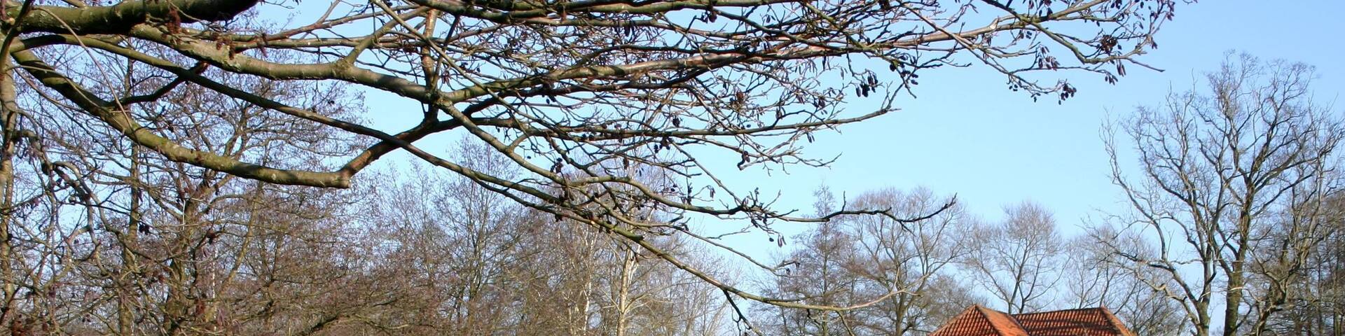 WassermĂŒhle Beverstedt-DeelbrĂŒgge mit Teich