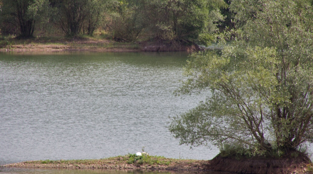 Landschaftsschutzgebiet Brelinger Berge in Niedersachsen, Deutschland