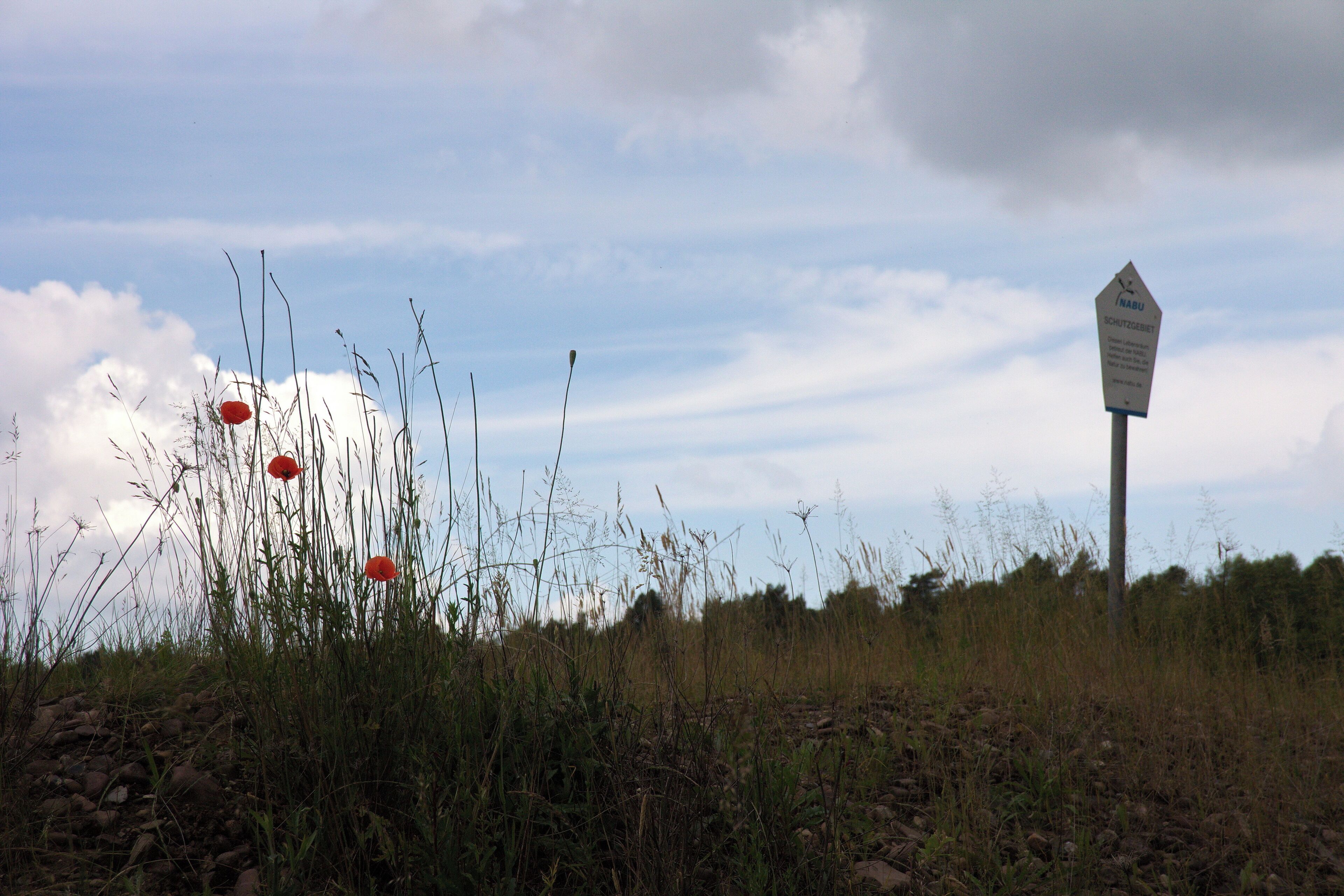 Landschaftsschutzgebiet Brelinger Berge in Niedersachsen, Deutschland; Nabu-Schild