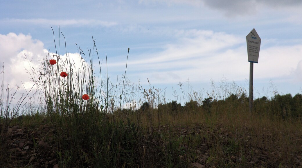 Landschaftsschutzgebiet Brelinger Berge in Niedersachsen, Deutschland; Nabu-Schild