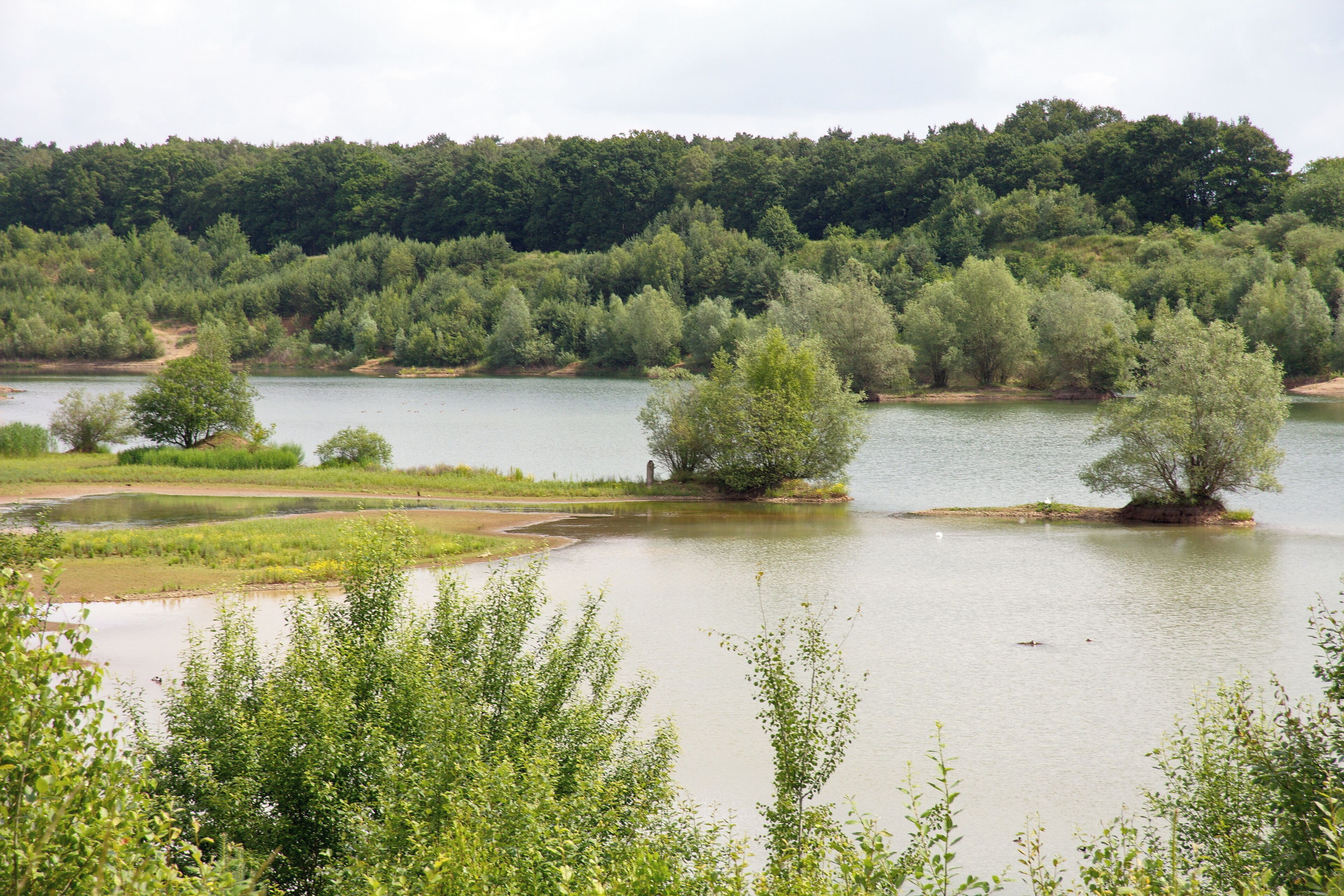 Landschaftsschutzgebiet Brelinger Berge in Niedersachsen, Deutschland