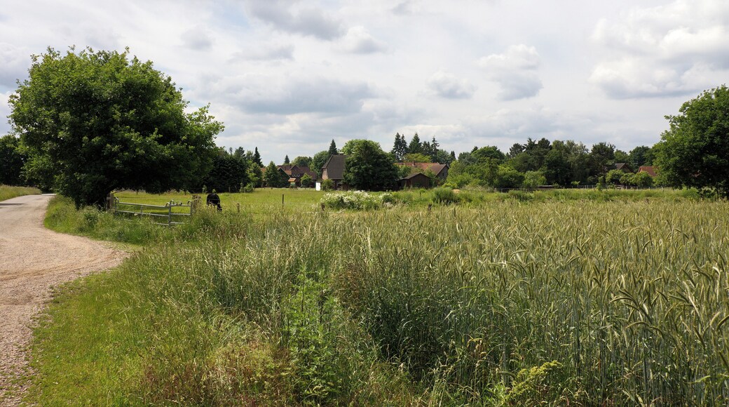 Landschaftsschutzgebiet Brelinger Berge in Niedersachsen, Deutschland