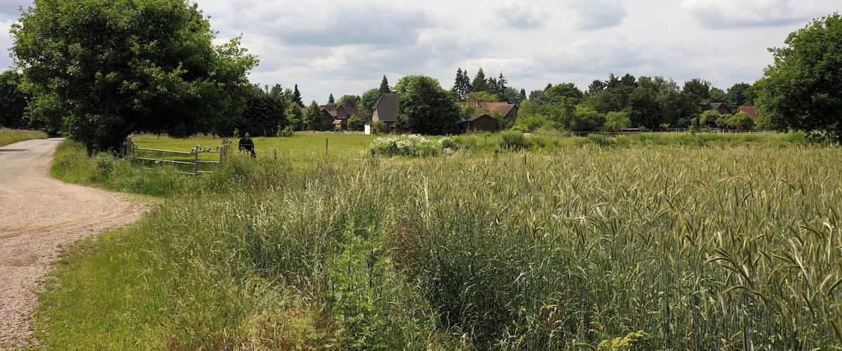 Landschaftsschutzgebiet Brelinger Berge in Niedersachsen, Deutschland