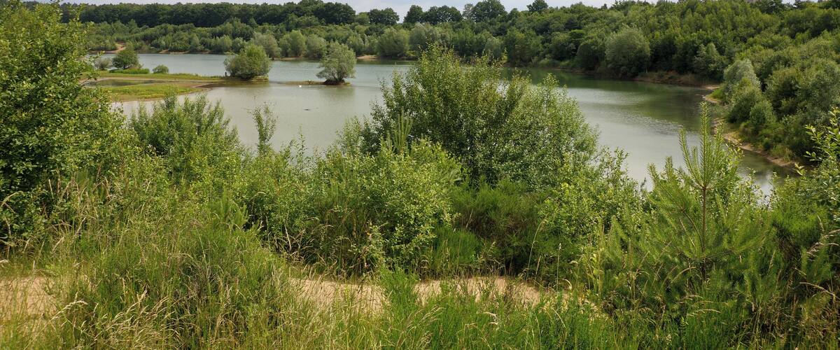 Landschaftsschutzgebiet Brelinger Berge in Niedersachsen, Deutschland
