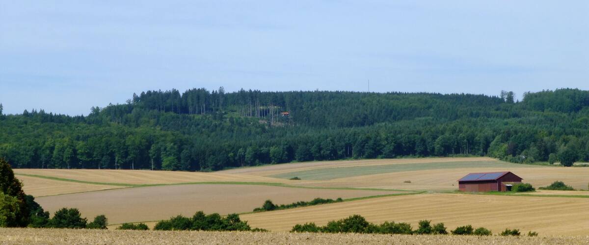 A rural landscape with a forested hill, agricultural fields, and a small red barn.