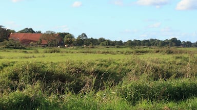 Kirche und Gulfhof in Engerhafe