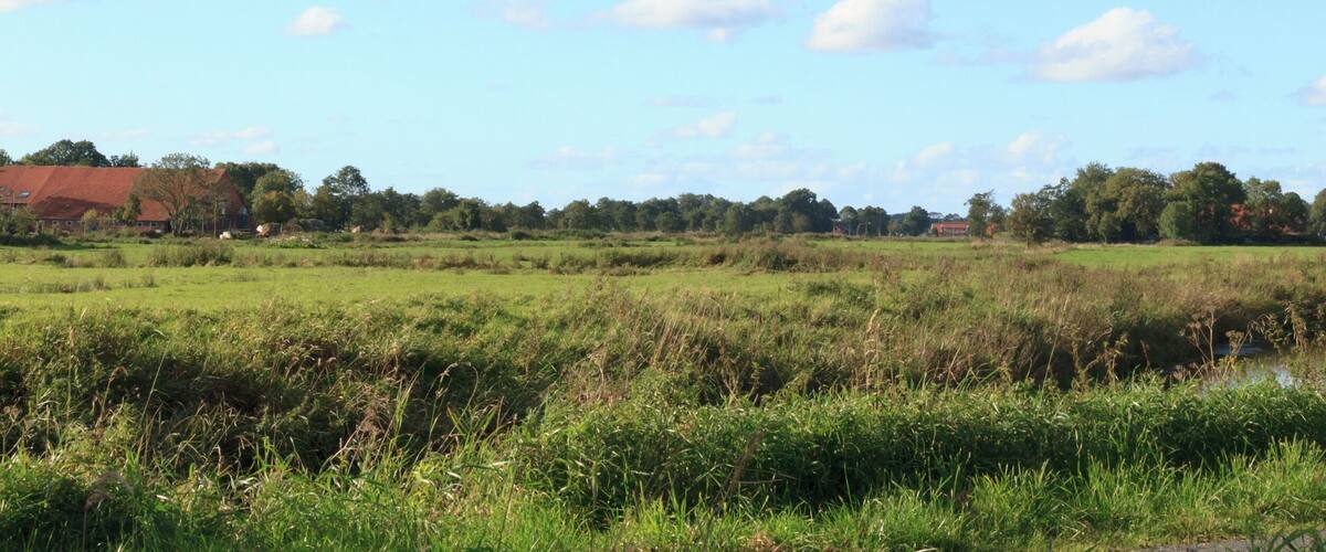 A rural landscape with a river, fields, and a church.
