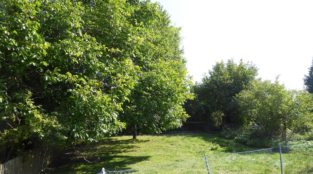 Gelände der ehemaligen Wasserburg Gladebeck mit erhaltenem leichtem Wallrest im sonst flachen Gelände. Gladebeck, Stadt Hardegsen, Südniedersachsen