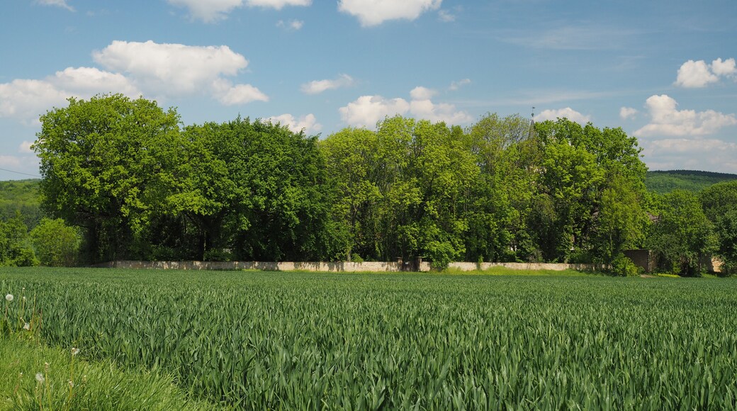 This is a picture of the protected area listed at WDPA under the ID